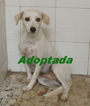 Nieves (Adoptada)