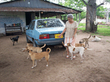 Albergue Fundación